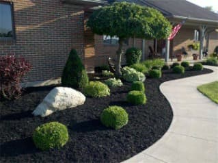 picture of beautiful mulch garden with trimmed hedges