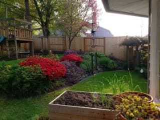 picture of garden with trimmed hedges surrounded by mulch