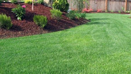 picture of manicured and freshly cut grass and mulch garden with hedges