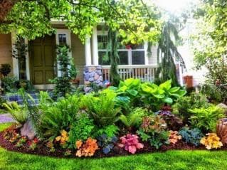 picture of beautiful garden with mulch and flowers